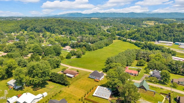 1110 Miller Dr, Jonesborough, TN 37659 - bird's eye view of mountains