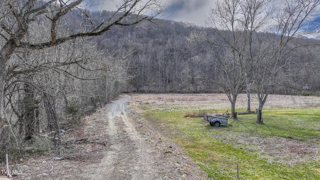 Listing photo 2 for Tbd Highway 11w, Blountville TN 37617