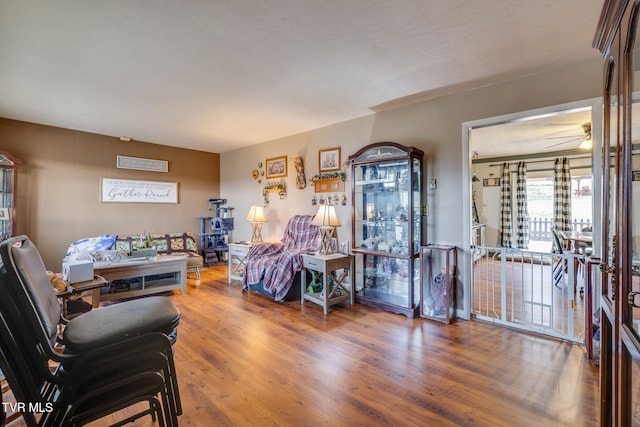 living area featuring ceiling fan and wood finished floors