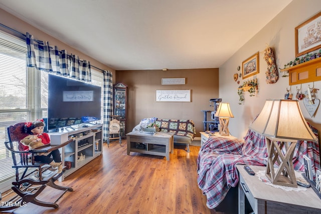 living area with wood finished floors