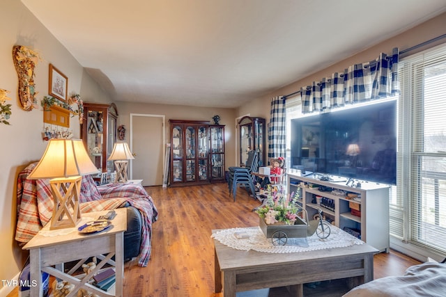 living area featuring wood finished floors