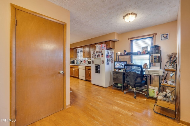 office featuring a sink, light wood-type flooring, and a textured ceiling