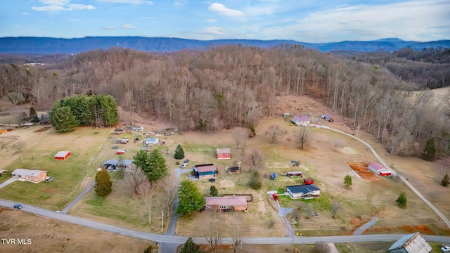 aerial view with a view of trees and a mountain view