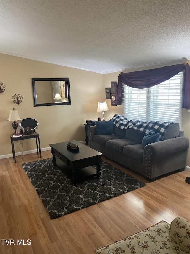 living area featuring baseboards, a textured ceiling, and wood finished floors