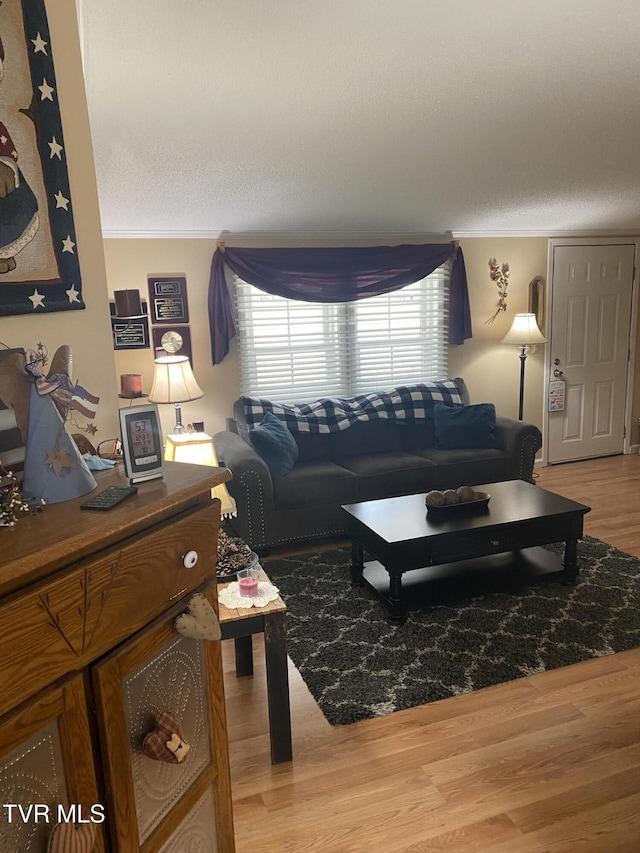 living area with a textured ceiling, crown molding, and wood finished floors