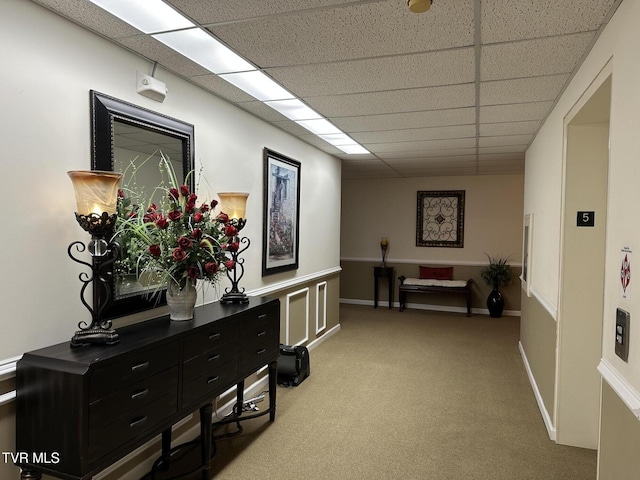 hall featuring light carpet, a drop ceiling, and baseboards