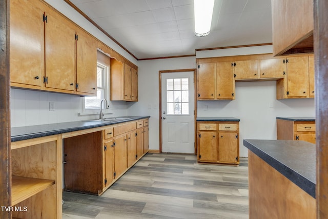 kitchen with a sink, light wood-type flooring, dark countertops, and crown molding