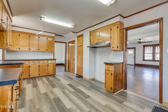 kitchen featuring a ceiling fan, visible vents, light wood-style flooring, ornamental molding, and under cabinet range hood