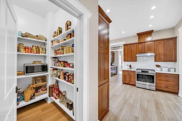 view of pantry