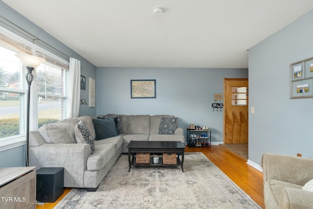 living area featuring baseboards and wood finished floors