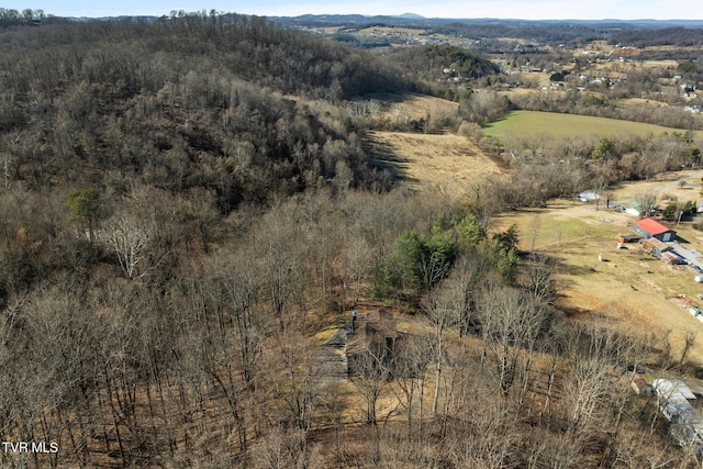 bird's eye view with a rural view and a wooded view