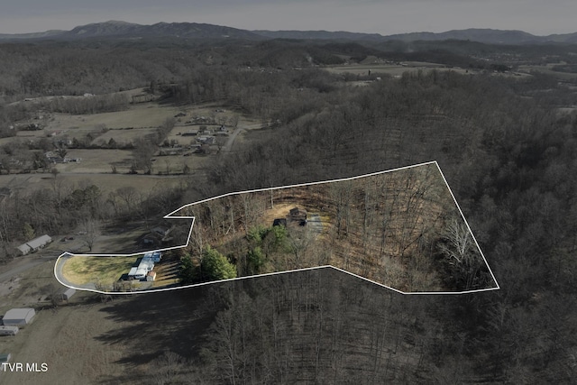 bird's eye view featuring a mountain view