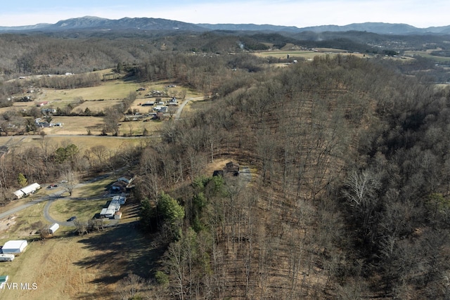 birds eye view of property featuring a mountain view