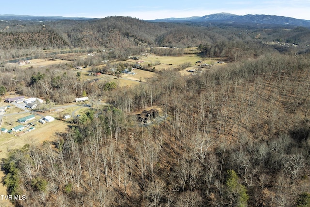 aerial view with a mountain view