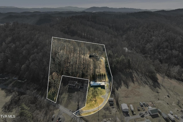 aerial view with a mountain view and a view of trees