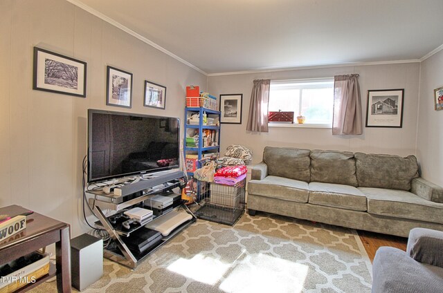 living room featuring ornamental molding