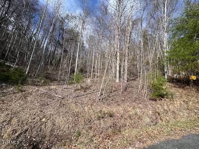 TBD Callalantee Dr, Mountain City TN, 37683 land for sale