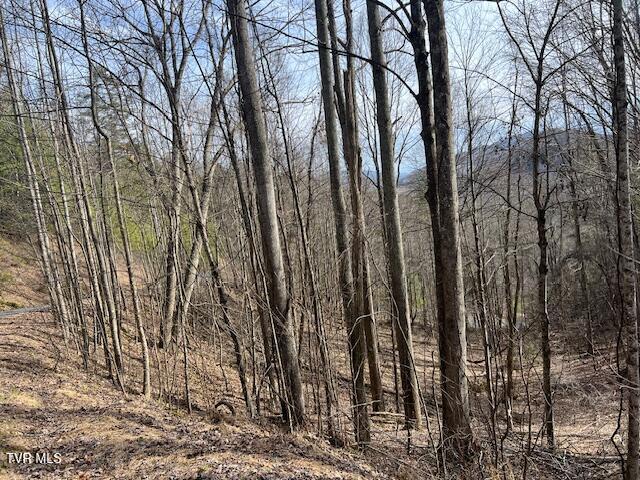 Listing photo 2 for TBD Callalantee Dr, Mountain City TN 37683