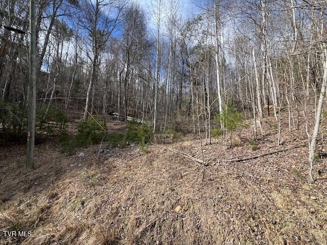 Listing photo 3 for TBD Callalantee Dr, Mountain City TN 37683