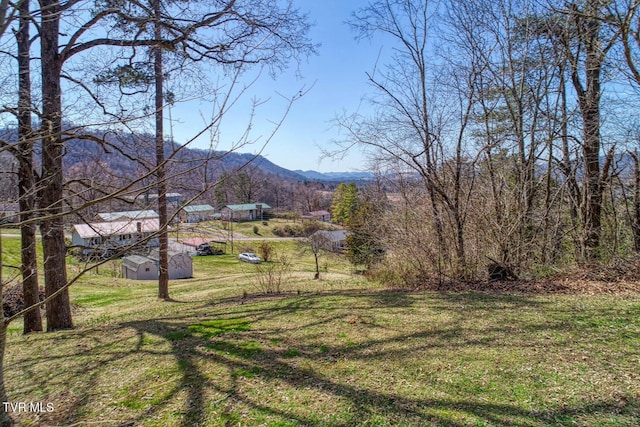 view of yard featuring a mountain view