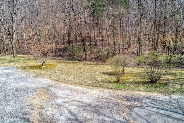 view of yard with a view of trees and driveway