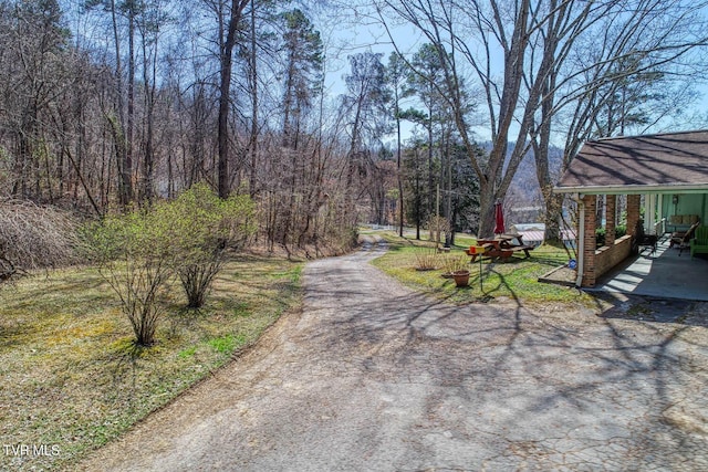 view of road with a forest view