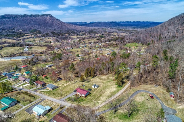 aerial view with a mountain view