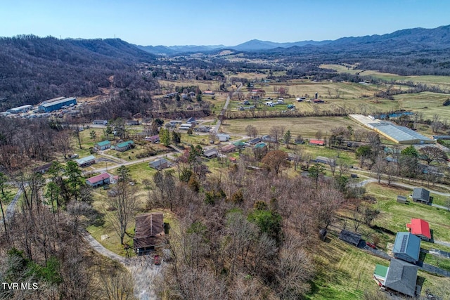 birds eye view of property with a rural view and a mountain view