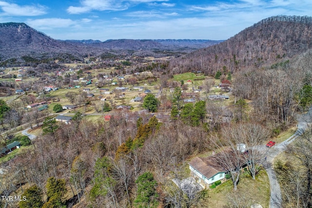 birds eye view of property featuring a mountain view and a view of trees