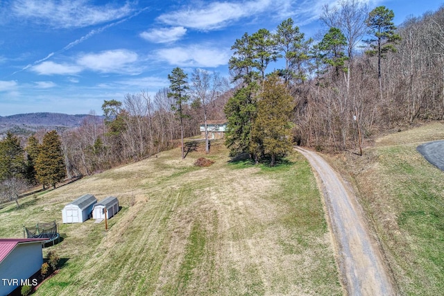 drone / aerial view with a forest view