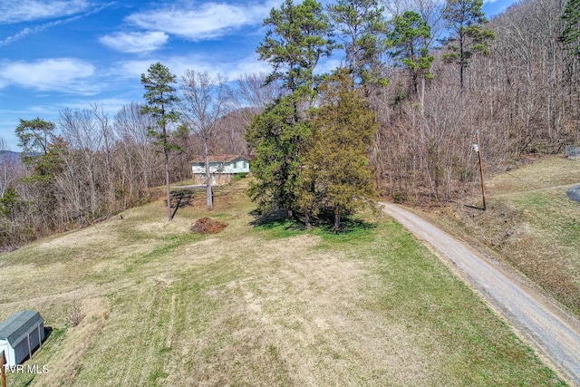 view of yard featuring a forest view and driveway