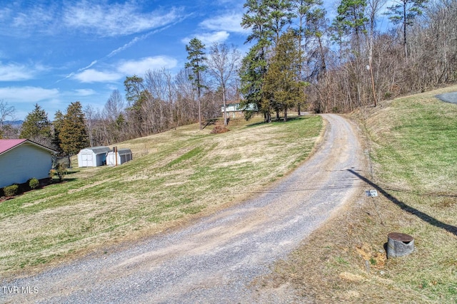 view of street featuring a forest view and driveway