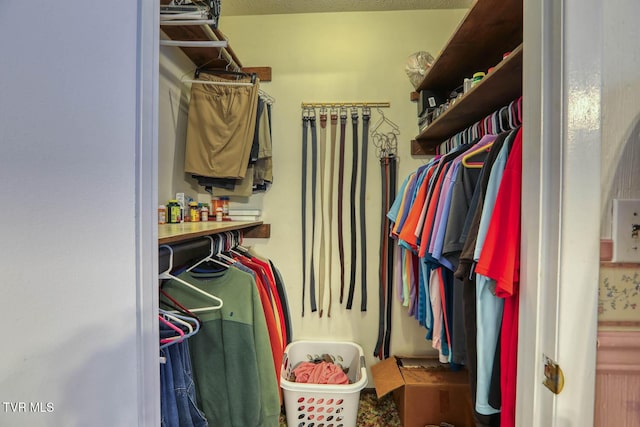 view of walk in closet