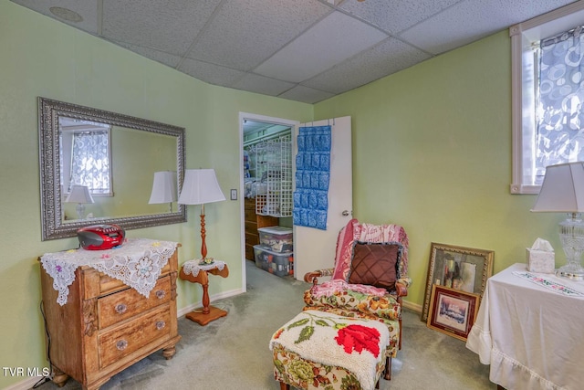 living area with baseboards, a drop ceiling, and carpet floors