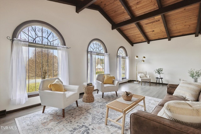 living room featuring beam ceiling, high vaulted ceiling, wood finished floors, and a healthy amount of sunlight