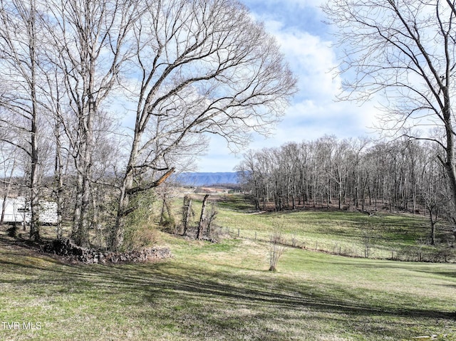 view of yard with a rural view and a mountain view