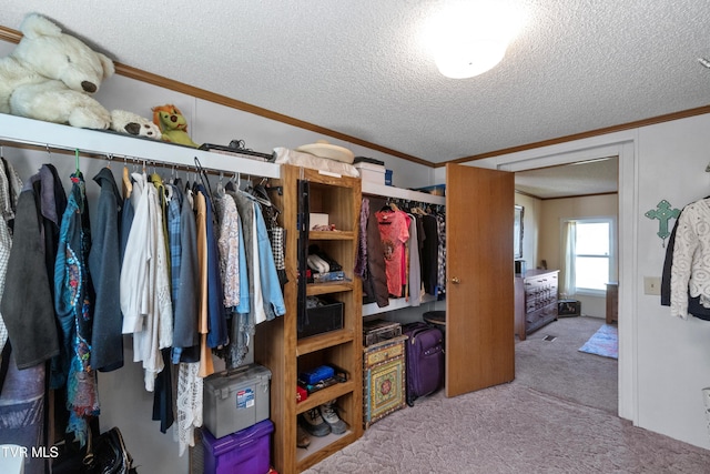 spacious closet with carpet