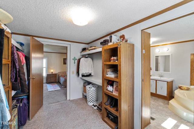 spacious closet featuring a sink and light carpet