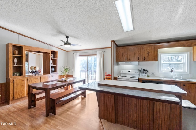 kitchen with under cabinet range hood, lofted ceiling, ornamental molding, electric stove, and a sink