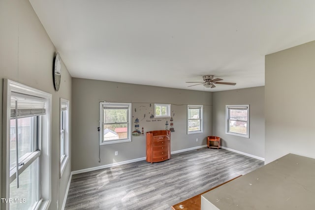 entryway featuring baseboards and wood finished floors