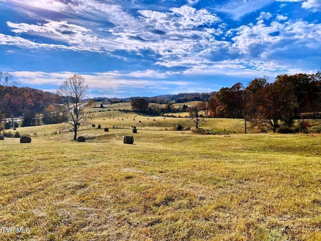 Tbd Highway 11w, Surgoinsville TN, 37873 land for sale