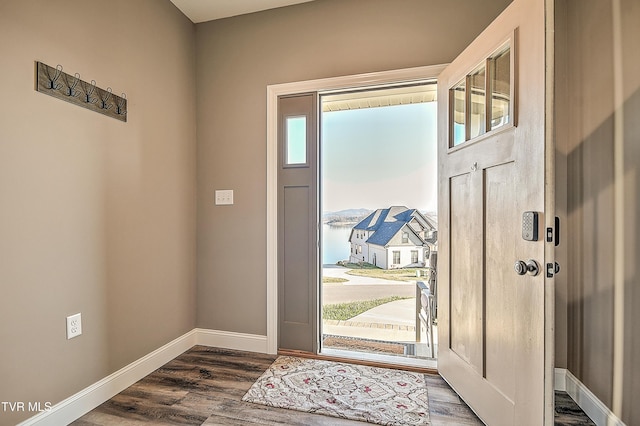 foyer featuring baseboards, a healthy amount of sunlight, and wood finished floors