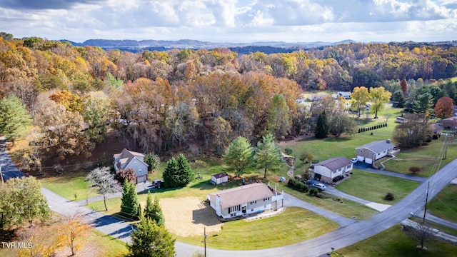 bird's eye view with a view of trees