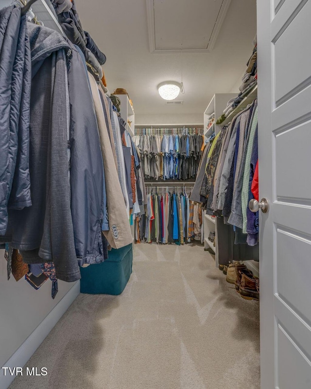 spacious closet featuring attic access and carpet flooring