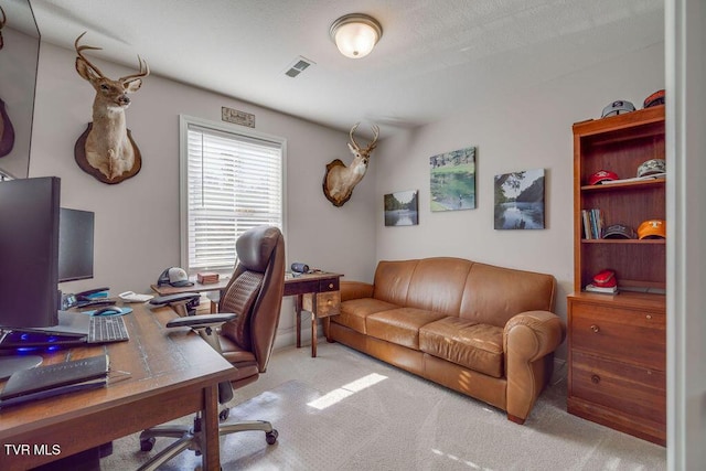 carpeted home office with visible vents