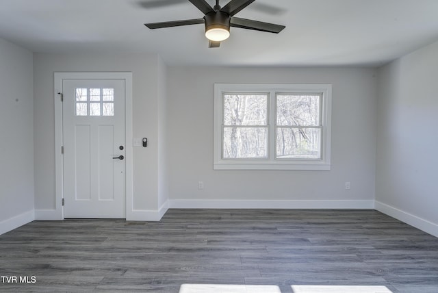 entryway featuring plenty of natural light, baseboards, and wood finished floors