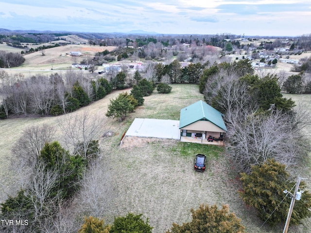 bird's eye view