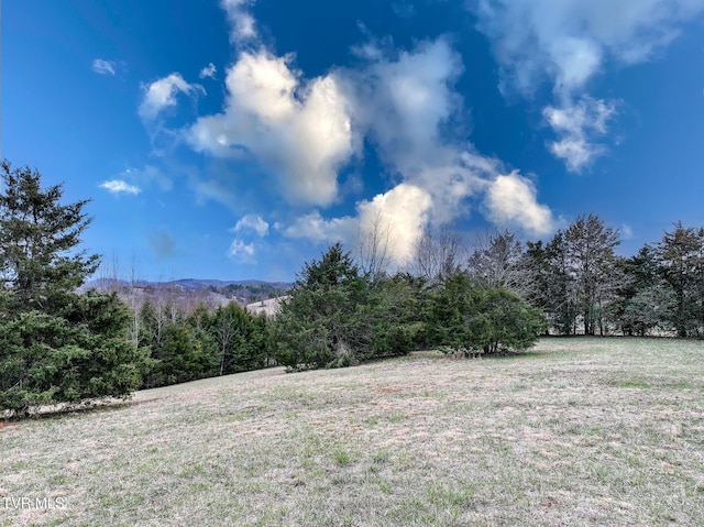 view of yard with a view of trees