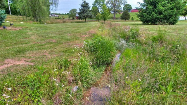 123 Bermuda Dr, Jonesborough, TN 37659