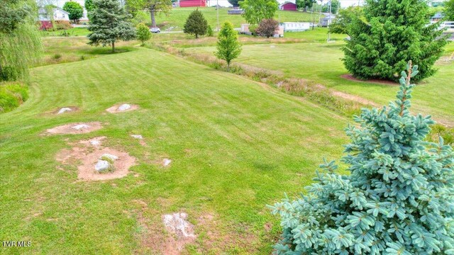 123 Bermuda Dr, Jonesborough, TN 37659